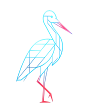 illustration cigogne